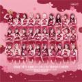 台湾プロ野球チア「Rakuten Girls」 公式トレーutf-8