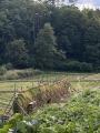 【限定900本】秋田の里山の四季と風土を瓶に封じutf-8