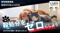 CAPIN、寄付アプリ「GOJO」動物愛護週間キャンペーン