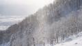【富良野スキー場】FURANO bonchi powder ファースト
