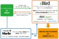 バードウォッチングウィーク！（＊11月1日～7日）毎日