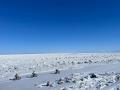 世界最南端の流氷を“五感”で体験できる「網走流utf-8