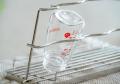 [新発売]こどもの成長にずっと寄り添う、哺乳瓶から水