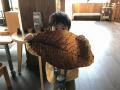 【コキア新色登場！】グラデーションコキアまもなく見