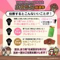 ゆるくも熱い、負けられない決戦！勝つのはどの“なめ