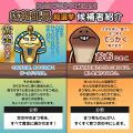 ゆるくも熱い、負けられない決戦！勝つのはどの“なめ