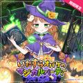 とびきり可愛い魔女っ子に！『シュガードール』にハロ