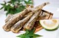 延岡の「美味しい」を知ってほしい！「延岡の魚」プレ