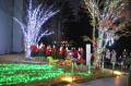 聖心女子大学がコロナ禍でもクリスマスを感じらutf-8