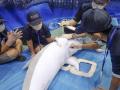 全36種の仕事が体験できる「Out of KidZania in なは 