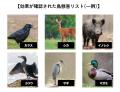 鳥獣害対策ドローン「BB102」の提供開始
