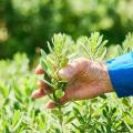 ３種のペプチド成分*¹配合、ハリ・ツヤで肌を満たす部