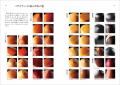 325種の木材を写真と共に紹介する木材樹種事典の決定