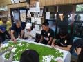 【福井県福井市】三里浜オリーブ、2025年の収穫がスタ