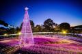 『その香り、春の記憶』～光と香りに包まれるイマーシ