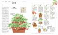 眺めるだけでも癒やされる「植物の教科書」。園芸の基