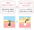 【新登場】━━ 角栓も黒ずみ*¹も、根本から崩壊*² ━━ C