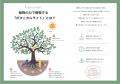 植物が語りかける未来へ──清水建設「温故創新の森 NOV