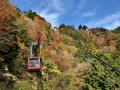 「身延山ロープウェイ 紅葉キャンペーン」2025年10月1