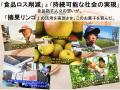 棄てられるはずの摘果リンゴを食用利用　2025年utf-8
