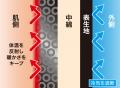 スポーツシーンに特化した防寒アイテム「ZAMST レッグ