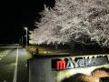 【前川製作所　守谷工場】第39回守谷市商工まつりに協