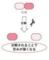 「甘み引出し製法」を使ったミルク由来のやさしい甘さ