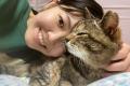 猫の歯みがき実施率3％・歯周リスク8割の現実に挑む──