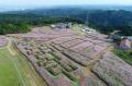 【富山県砺波市】本日スタート！100万本のコスモスが