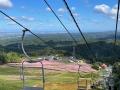 【富山県砺波市】本日スタート！100万本のコスモスが