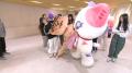 【フジテレビ】「めちゃイケ」が帰ってくる！『めちゃ