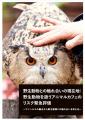 野生動物カフェの衛生・安全面の実態調査を実施。衛生