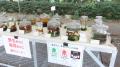 【国立科学博物館 筑波実験植物園】企画展「きのこ展