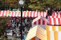 第48回渋谷区くみんの広場 ふるさと渋谷フェスティバ