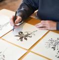 天王洲・スローハウスにて ”coricci原画展～暮らしに