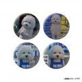 【犬 記録】ヴィレッジヴァンガード限定コラボグッズ