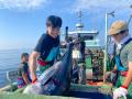海業の振興、デジタル化の推進、藻場の再生へ。さらな