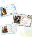 10月11日(土)は愛犬と一緒に！参加無料の＼第2回 大型