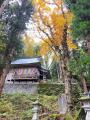 11/8(土)開催│旅行・観光好き、移住希望者は必見！【