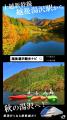 新潟・越後湯沢エリアと弥彦エリアの絶景と体験を首都