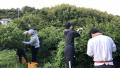 トリドールHD、包括連携協定を締結する徳島県でutf-8