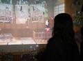 【特別展 This is KABUKI　体験！『義経千本桜』が誘