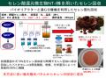 【芝浦工業大学】世界初、微生物を利用して廃太utf-8