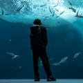 【広島もとまち水族館オープン記念催事】銀鏡つかさ写