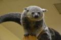 屋内型ふれあい動物園「アニタッチ MARK IS 静岡」で2