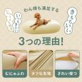 わん様に、極上の寝心地を。ロングセラー枕「王様の夢