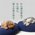 わん様に、極上の寝心地を。ロングセラー枕「王様の夢