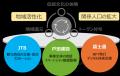 訪日外国人観光客の誘客拡大に向けて、NFTを活用した