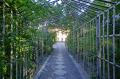 文芸と学問の神が見守る梨木神社に言葉の才能がutf-8