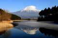 【JAF静岡】秋の富士山西麓エリアを満喫！「富士山西